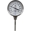 Термометр биметаллический R52.100/S, 0...120 °C, G1/2B, 100x8 мм, нерж. сталь, кл. 1 (36519864) t('фото') 0